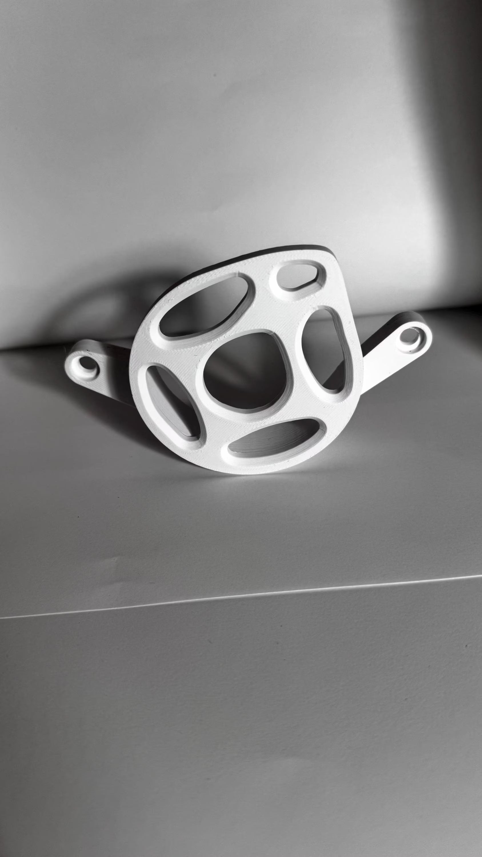 Surron Lbx Motor cover